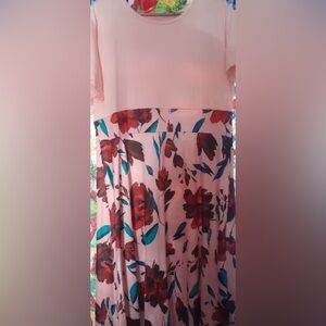Floral Pink and Red Dress